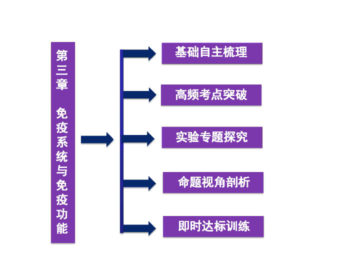 2024全年免费资科大全,策略优化计划_媒体宣传版50.218