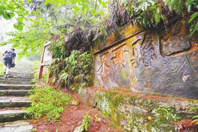 揭秘重庆走马未来繁华蓝图，最新规划展望！