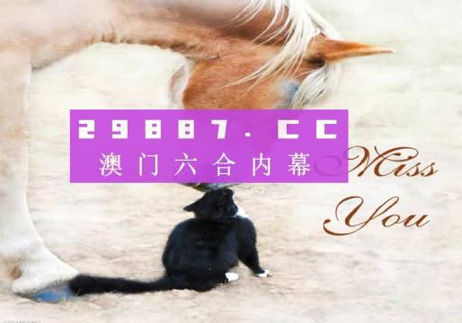4949澳门天天彩正版免费大全,创新解释说法_旗舰款16.733
