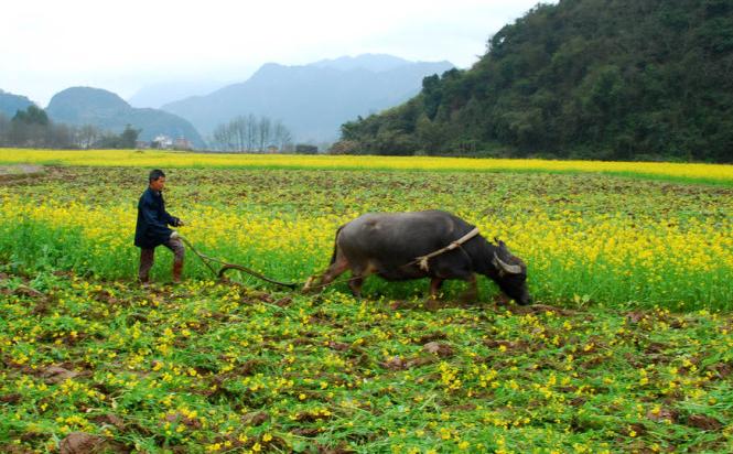 崇左最新新闻播报,掌握新鲜资讯,一览无遗!