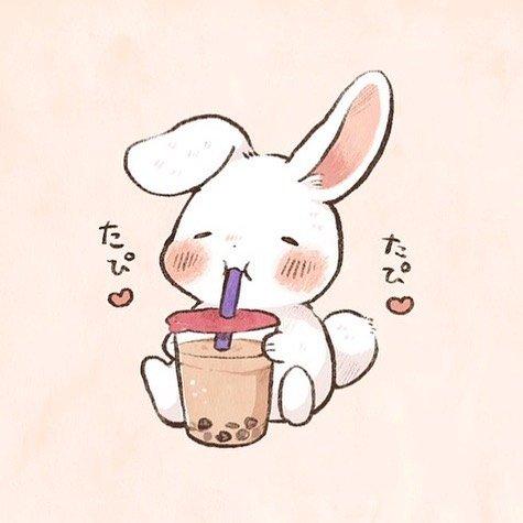 2017最新可爱头像大赏与探讨