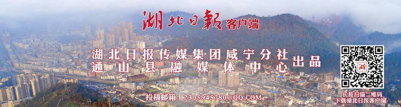 湖北通山科技新闻,全新高科技产品惊艳亮相,点亮通山未来!