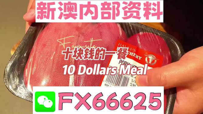 新澳最精准免费资料大全298期,临床医学_程序版53.984