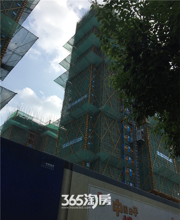 合肥天珑广场最新进度，家庭聚会之旅的温馨起点