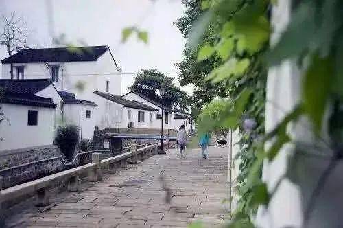 常熟市最新领导班子及其小巷深处的独特风味之旅探索