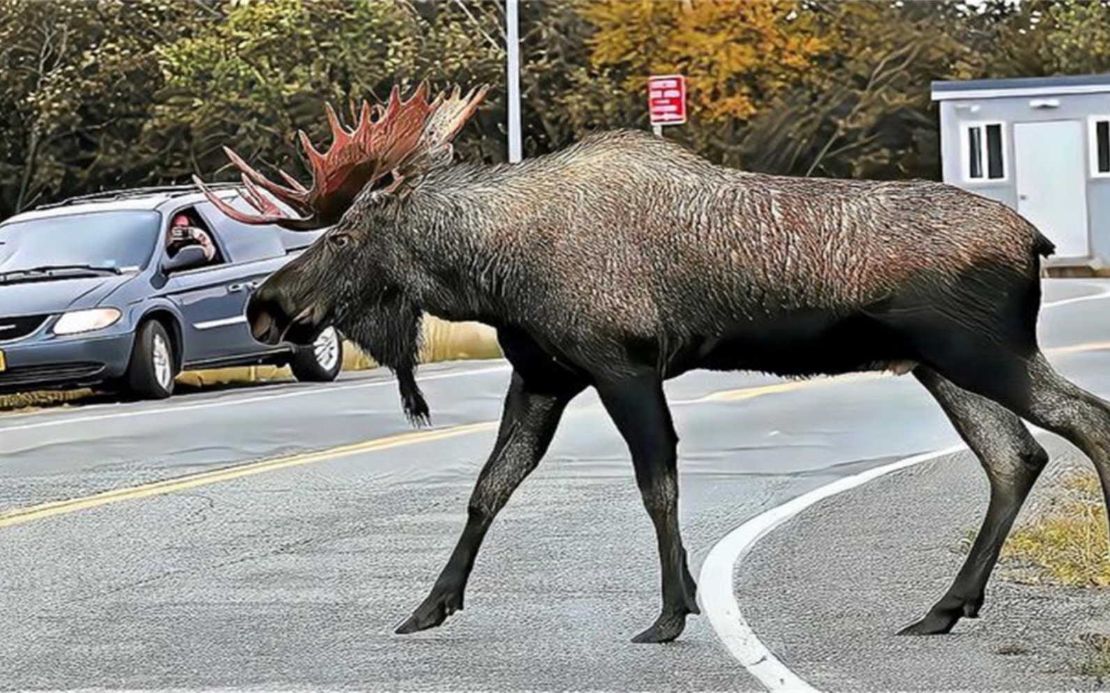 电子商务 第414页