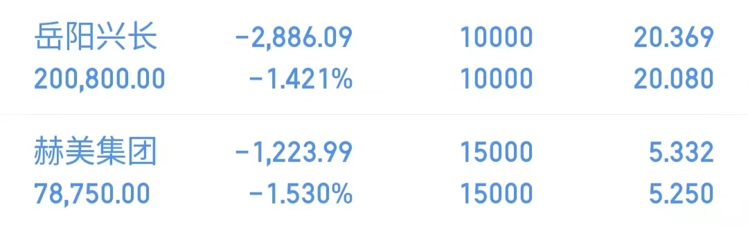岳阳兴股市最新消息与投资热点解析，市场动态一览无余