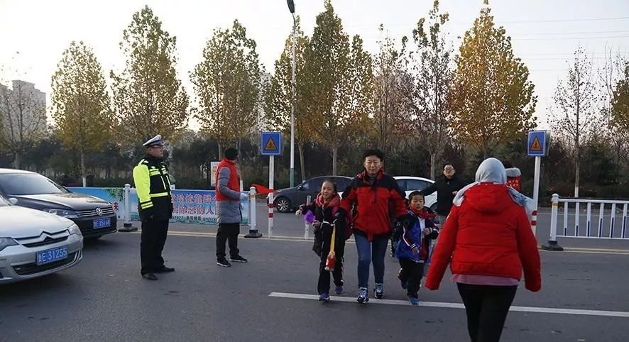广饶县司机最新招聘,驶向自然,寻找内心的宁静与平和之旅