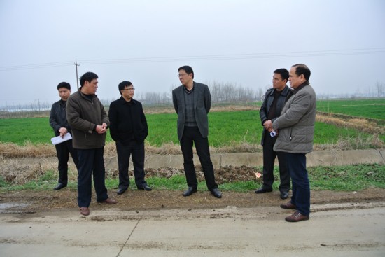 来安政府网最新动态速递