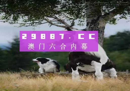 一站式城市服务平台 第356页