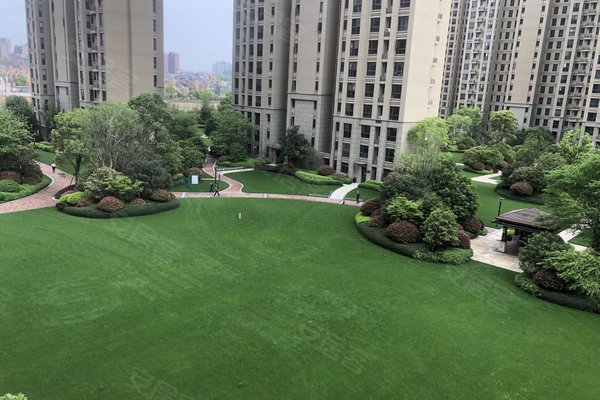 新力象湖湾最新动态揭秘,小巷深处的特色小店惊喜亮相!