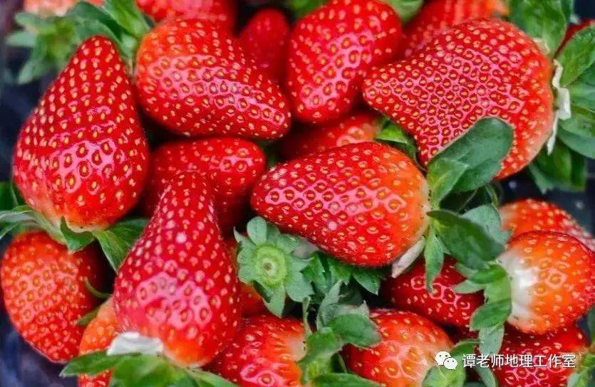 S2B2X电商体系 第399页