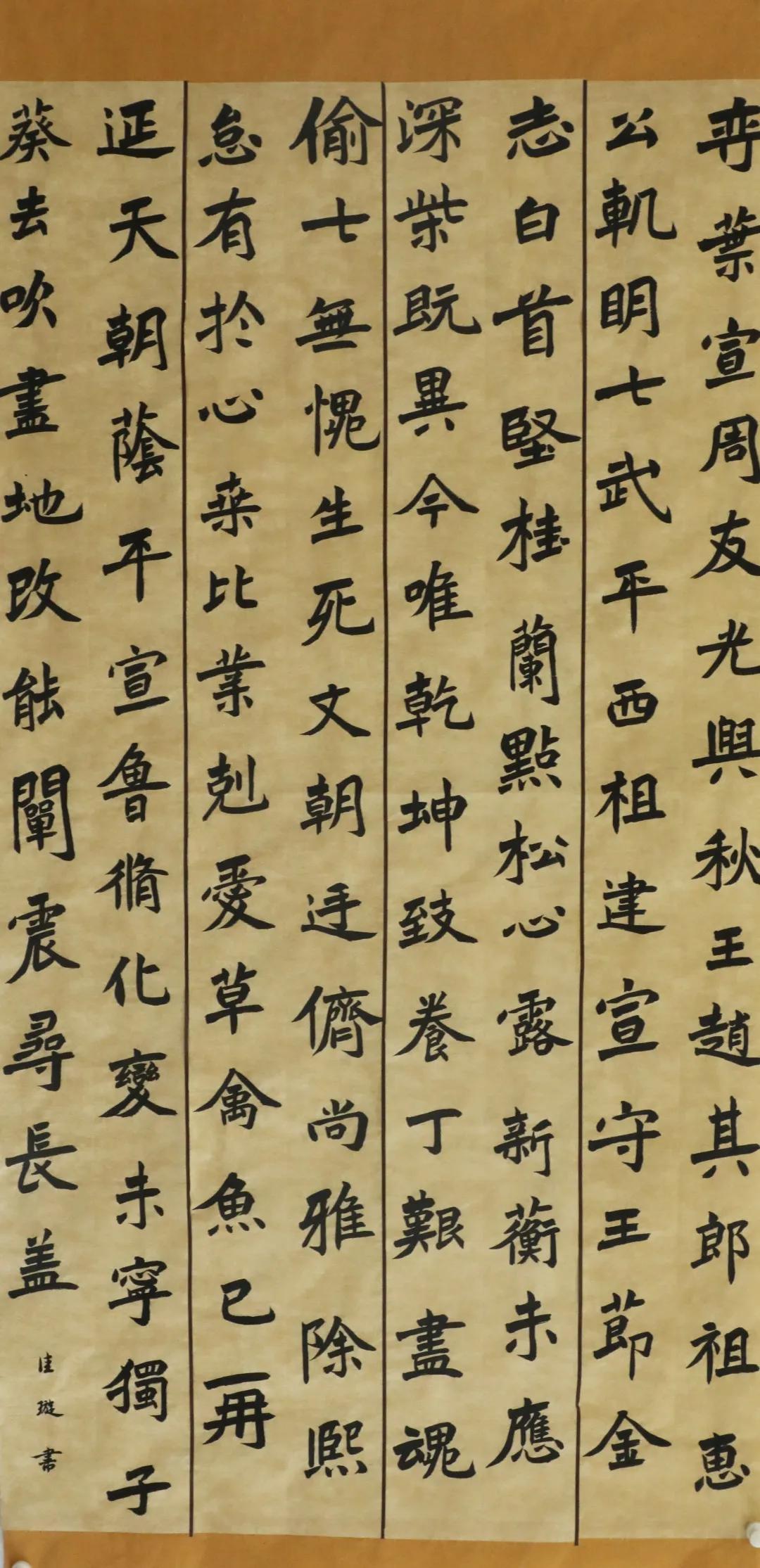 郑州日结工资工作最新揭秘与探索