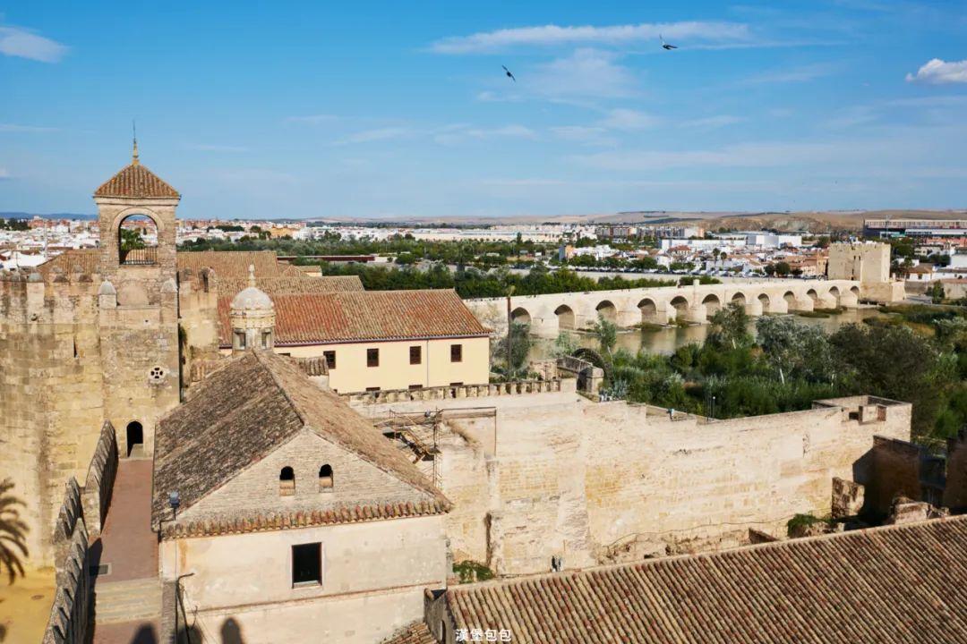 最新版血王宫回忆大师深度解析与体验分享心得总结