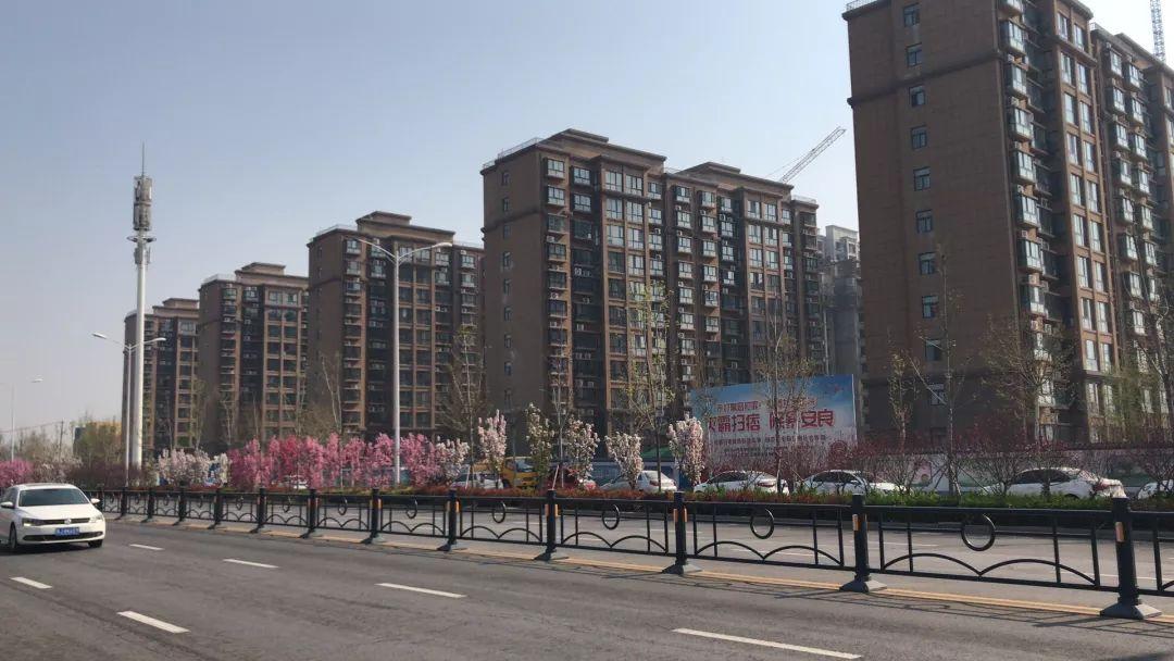 乐陵新建楼盘温情故事,乐陵新居日常揭秘