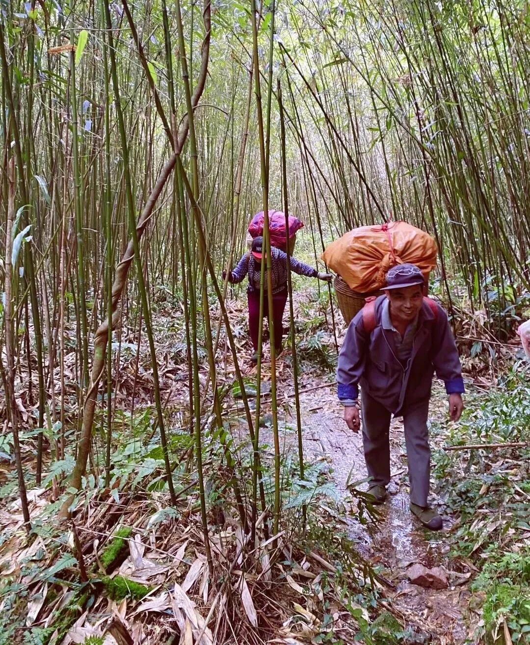 口袋妖怪日月销量刷新纪录,少年神奇冒险日常备受瞩目