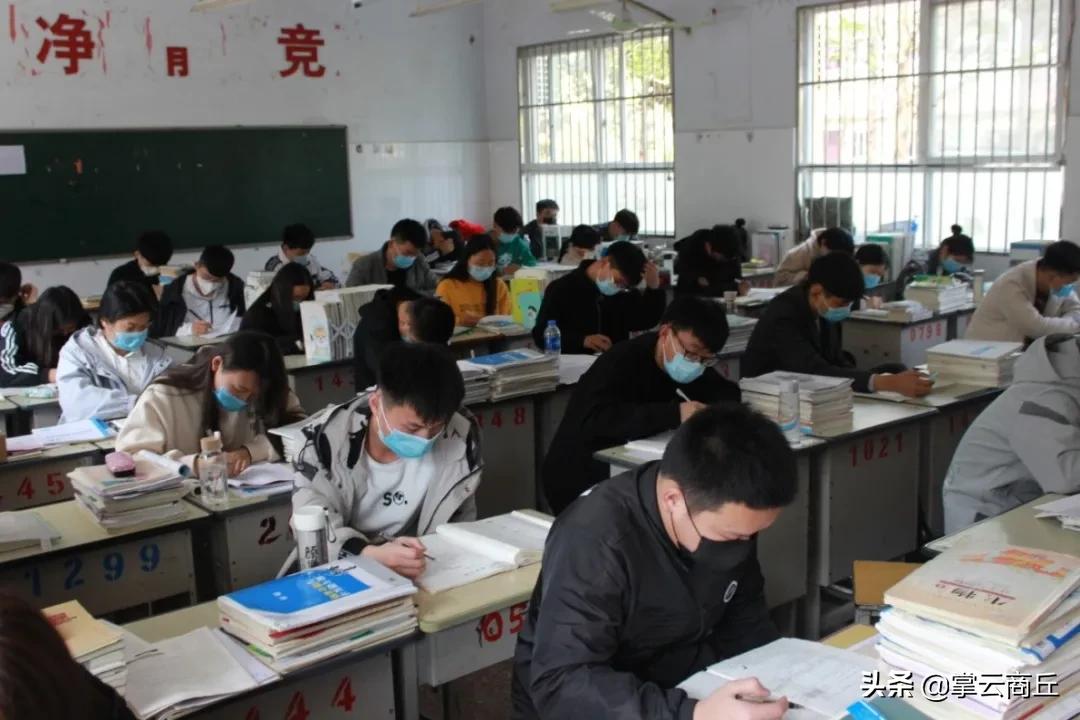 虞城春来小学最新事件,虞城春来小学,友情的种子在春天里发芽