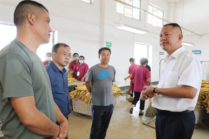 罗平九龙街道最新进展与动态更新