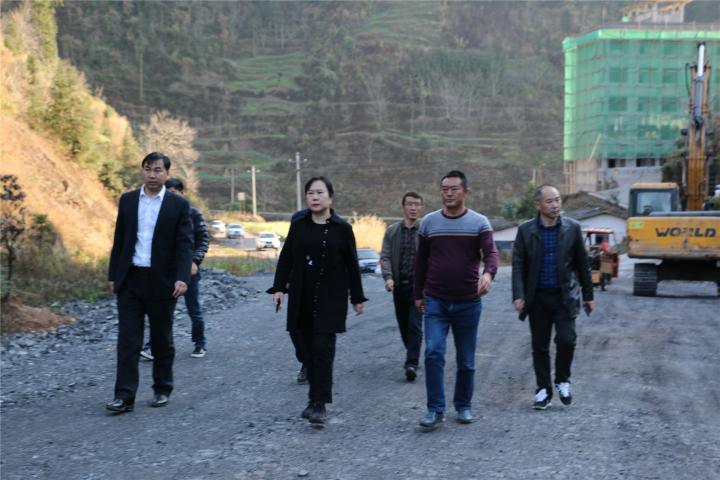 罗平九龙街道最新进展与动态更新