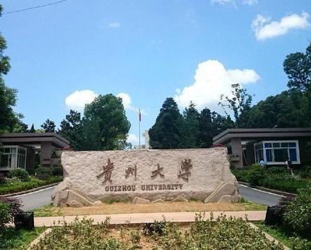 贵大郑强最新演讲揭秘，小巷深处的风景与美食瑰宝