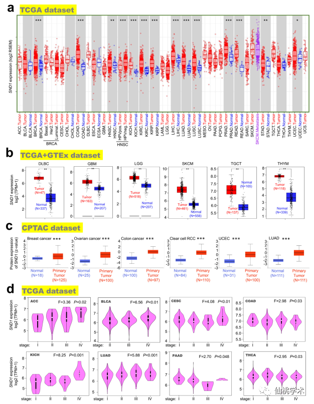 S2B2X电商体系 第390页