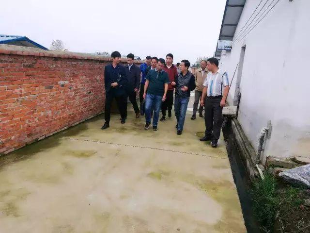 高效环保能源解决方案，最新沼气池设计图揭秘