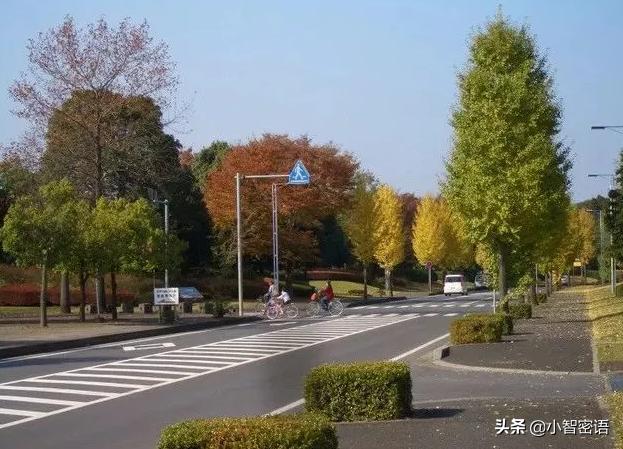 高效环保能源解决方案,最新沼气池设计图揭秘