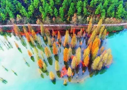 厦门湖边小学最新动态,获取与利用学校资讯的步骤指南