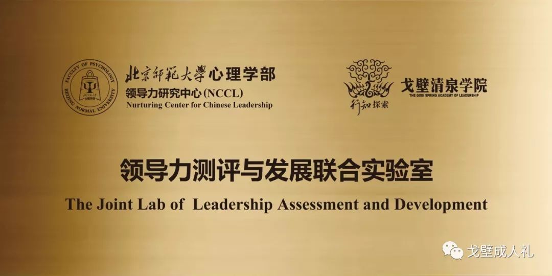 S2B2X电商体系 第381页