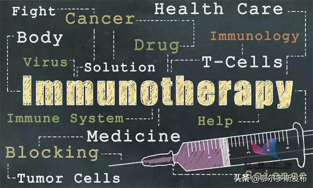 世界最新医学真相探寻,励志之旅中的自信与成就感之路