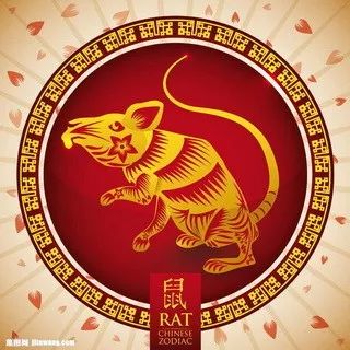摇钱树四肖八码期期三码必中,数据指导策略规划_薄荷版86.738