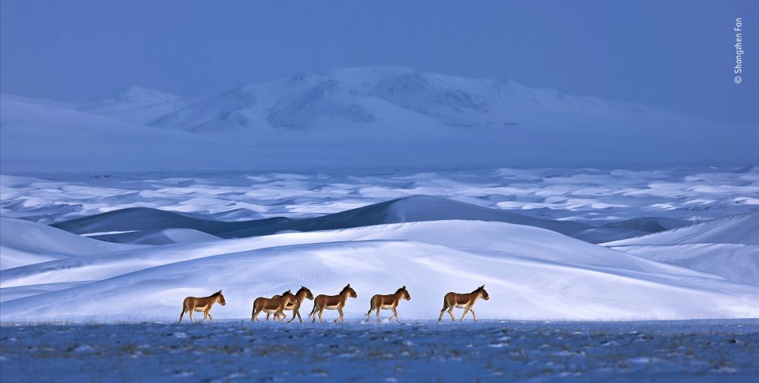 民和股份收购最新动态，探索自然美景，心灵宁静之旅