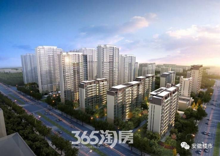 肥西盛荣春天最新房价及其分析概述