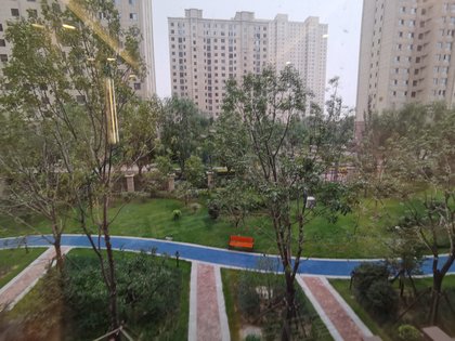 洛宁公园一号最新动态及步骤指南