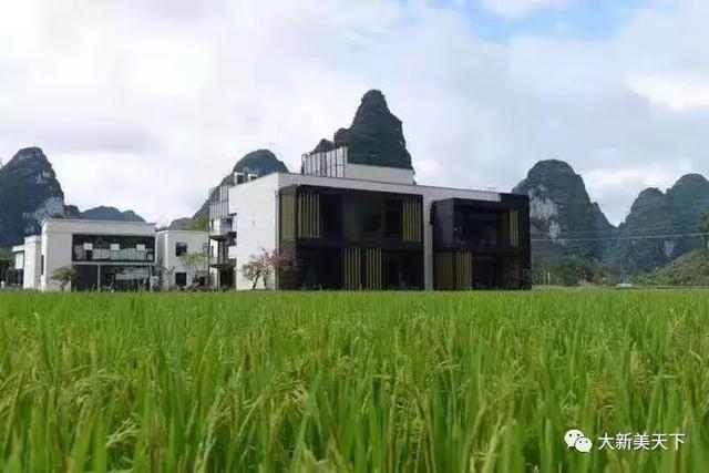 青海油田最新领导班子及其背后的独特风景与特色小店故事