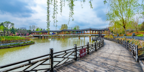 小东流公园最新动态,变化中的学习,自信与成就感的源泉