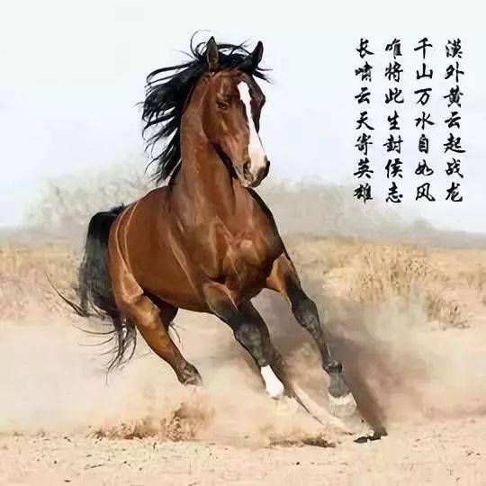 2024新奥正版资料四不像,案例实证分析_互助版34.432