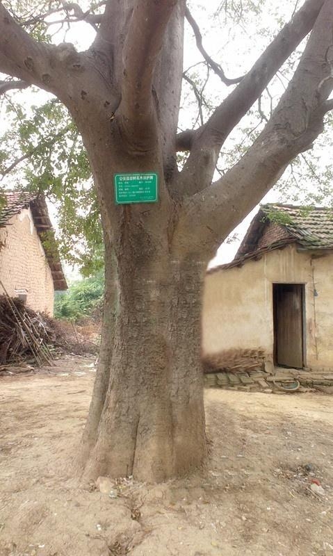 6149老钱庄,仿真方案实施_风尚版9.711