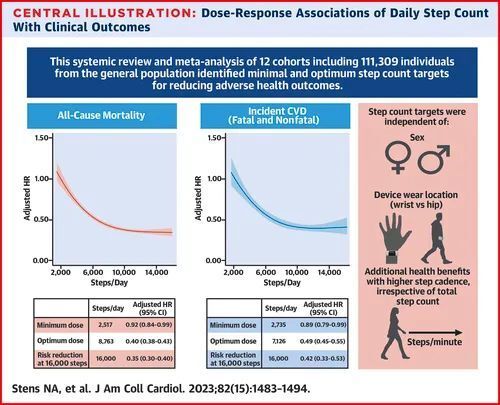 新澳天天开奖免费资料大全最新,统计数据详解说明_超级版73.184