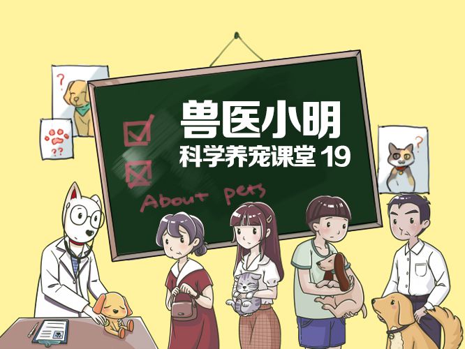 晋中开发区最新讨论吧,小明的快乐日常与情感纽带的朋友间交流