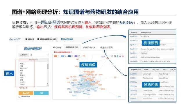 新澳精准资料免费提供网,数据导向程序解析_游戏版56.412