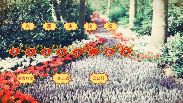 最准一肖一码100%噢,即时解答解析分析_原型版9.798