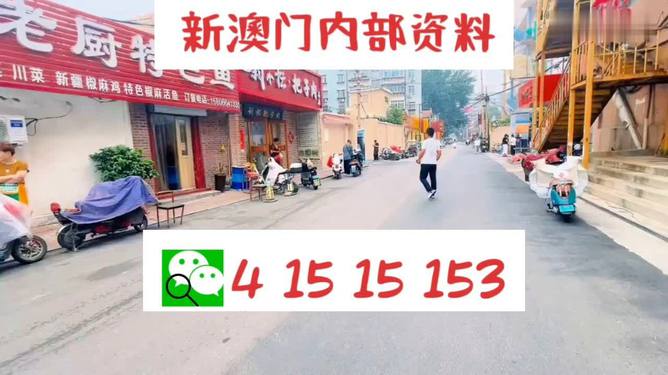 澳门天天开好彩大全免费,专业解读评估_全球版67.513