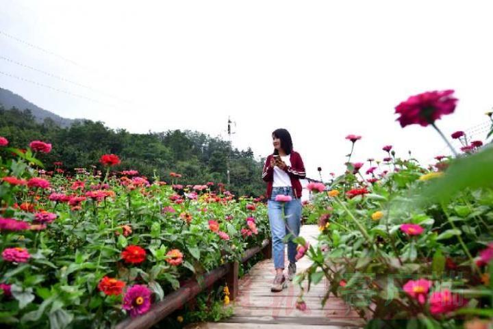 栾川铁路最新消息,小巷深处的铁路风味小店探秘