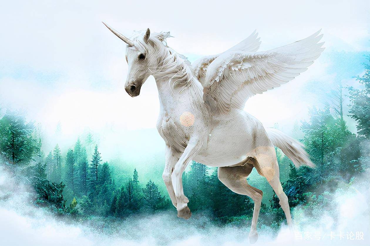 白马最新文章解析,学习变化中的自信与成就感之旅