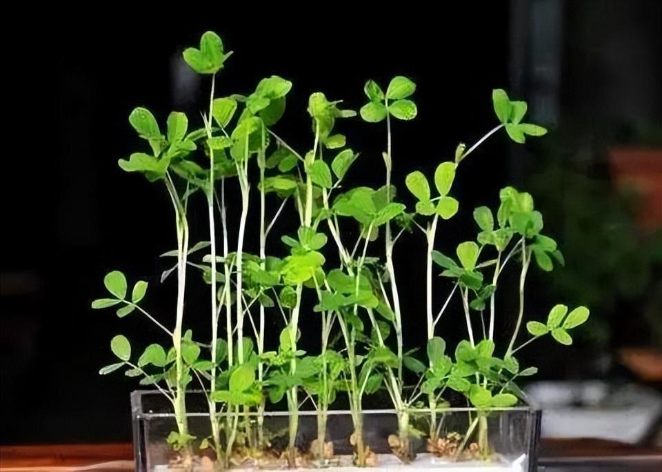 天津京广和学习之旅的新变化,自信与成就感的源泉最新消息