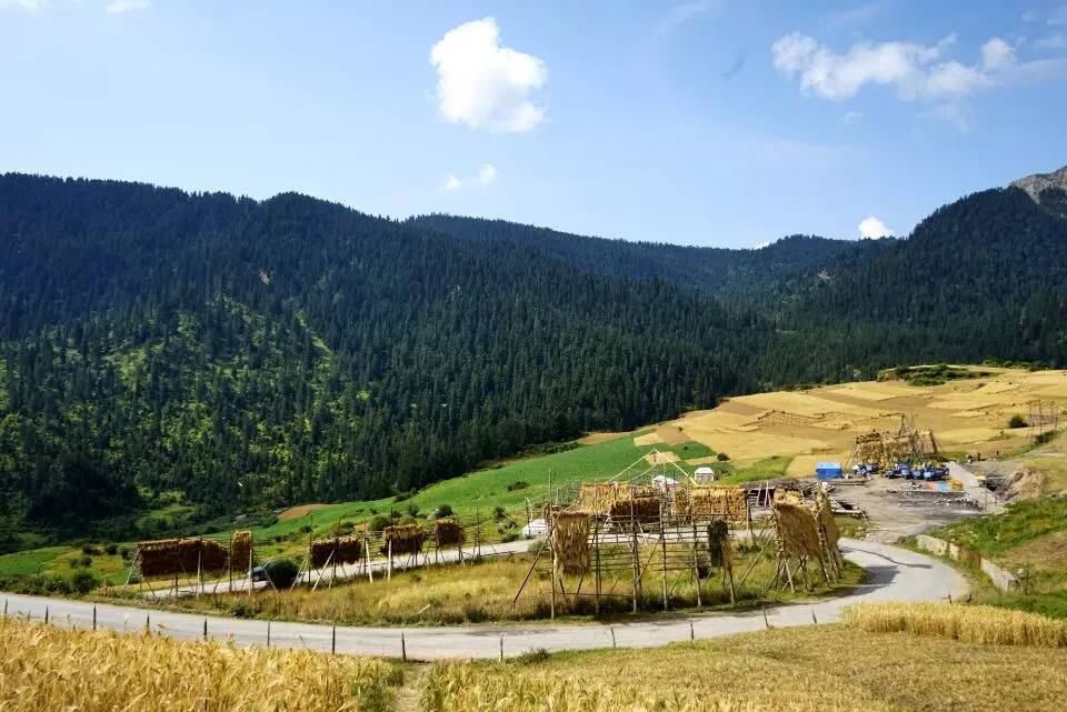 威宁石门乡最新动态与日常温馨趣事报道