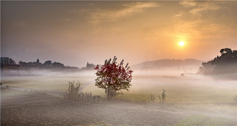 孟河镇小黄山最新动态揭秘，巷弄风情与隐藏小店探秘