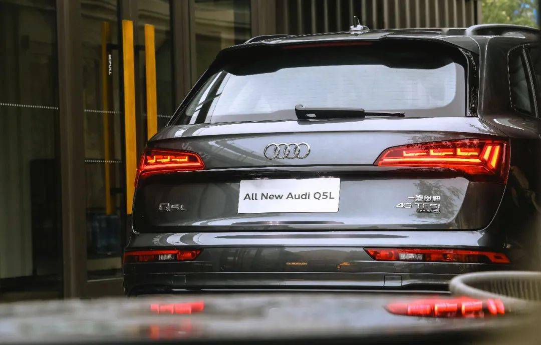 曾小刚在新疆的最新动态，力量变革与学习的魅力