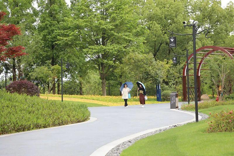 天夏智慧最新动态及相关观点解析